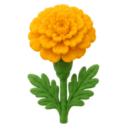 031