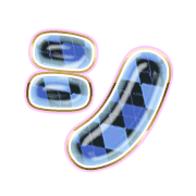 092