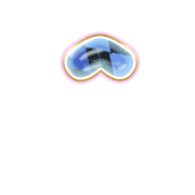 231