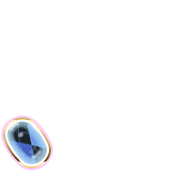 256