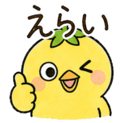 010