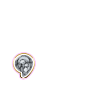 245