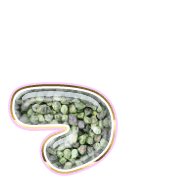052