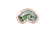 231