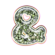 232
