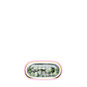 250