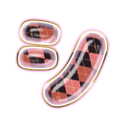 092