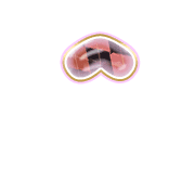 231