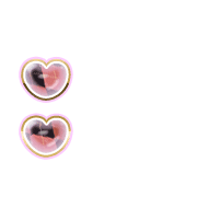 244