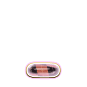 250