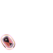 256