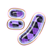 092
