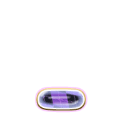250