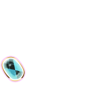 256
