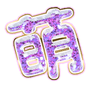 291
