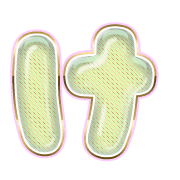 009