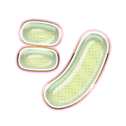 092