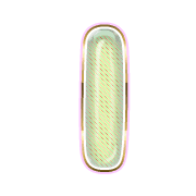 242