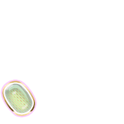 256