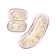 092