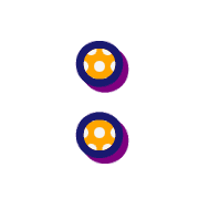 244