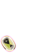 256