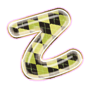 305