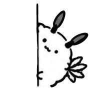 019