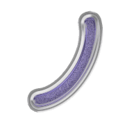 105