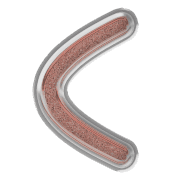 008
