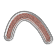029