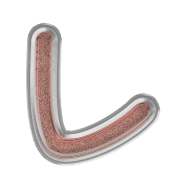 122