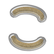 010