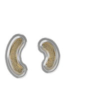 048