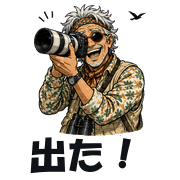 006