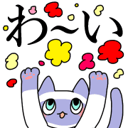 019