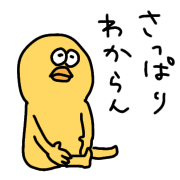 019