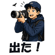 006