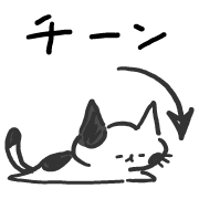 020