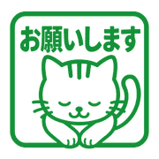 031
