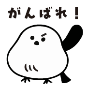006
