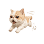 024