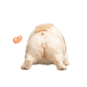 037