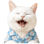 008