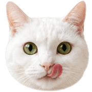 033