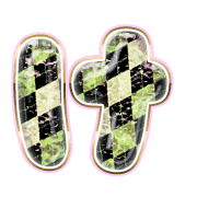 009