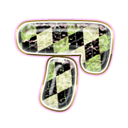 081