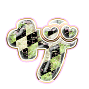 141
