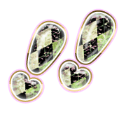 268