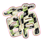 291